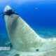 Five Tips for Getting Great Shots on Shipwrecks