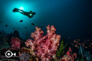 Models and Modeling Underwater