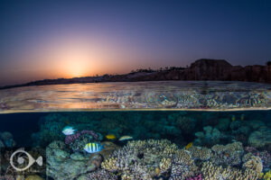 The Unforgettable Red Sea