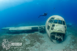 Scuba Diving in Aqaba and Exploring the Amazing Golden Triangle