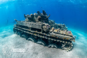 Photographing Aqaba’s Amazing Artificial Reefs