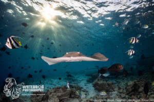 Mastering light underwater is a challenging skill